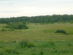 post-2349-009007300 1279895459_thumb.jpg