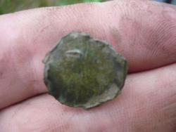 post-2349-032698200 1279895246_thumb.jpg