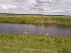 post-2817-033316700 1280068576_thumb.jpg