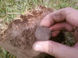 post-2817-043759000 1280414704_thumb.jpg