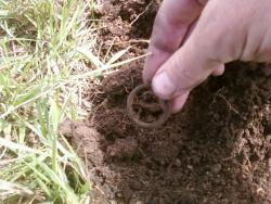 post-2817-087435200 1280412899_thumb.jpg