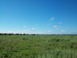 post-3757-020946800 1280032138_thumb.jpg