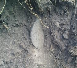 post-488-061401100 1279471470_thumb.jpg