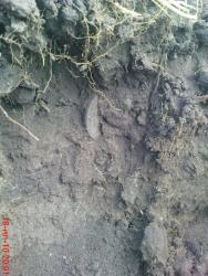 post-488-061634700 1279471453_thumb.jpg