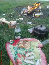 post-488-085916200 1279347968_thumb.jpg