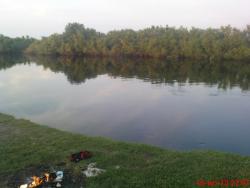 post-488-094958600 1279348042_thumb.jpg