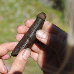 post-498-043724400 1279736761_thumb.jpg