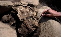 post-498-044732600 1279895958_thumb.jpg