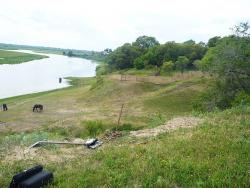 post-498-062425800 1278433523_thumb.jpg