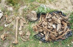 post-498-095508300 1278433646_thumb.jpg