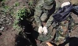 post-84-014173200 1279723385_thumb.jpg