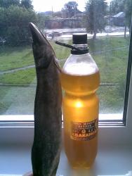 post-84-089715000 1278847549_thumb.jpg