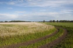 post-1023-0-38099100-1310833160_thumb.jp