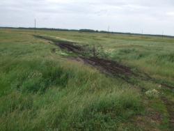 post-1887-0-32498500-1310301767_thumb.jp