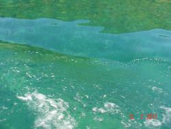 post-2202-0-34695300-1311148063_thumb.jp