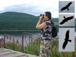 post-2202-0-53347800-1311044849_thumb.jp