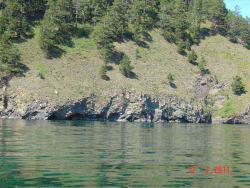 post-2202-0-54785400-1311148033_thumb.jp