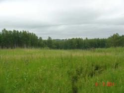 post-2202-0-72616300-1311062798_thumb.jp