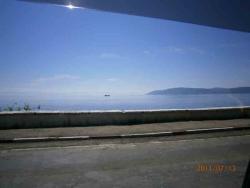 post-2202-0-91053700-1311230527_thumb.jp