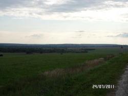 post-2817-0-09281000-1311526406_thumb.jp