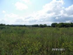 post-2817-0-66557300-1311526336_thumb.jp