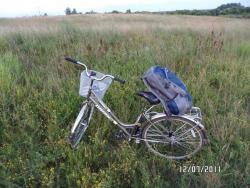 post-2817-0-76357500-1310497302_thumb.jp