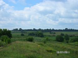 post-2817-0-85277500-1310497132_thumb.jp