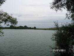 post-2817-0-99308600-1311526321_thumb.jp