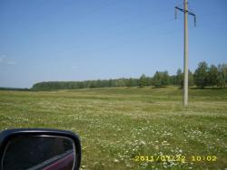 post-3939-0-68651000-1311604528_thumb.jp