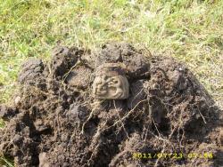 post-3939-0-70707100-1311606484_thumb.jp