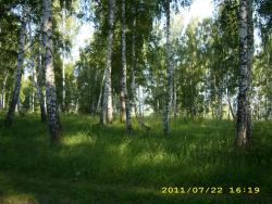 post-3939-0-79175500-1311603612_thumb.jp