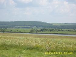 post-3939-0-88632600-1311603986_thumb.jp