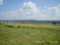 post-3939-0-96275800-1311603828_thumb.jp