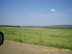 post-3939-0-96658300-1311603343_thumb.jp