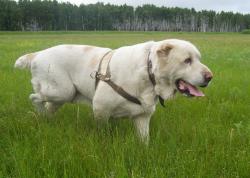 post-4269-0-37445500-1312046023_thumb.jp