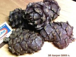 post-4269-0-71115300-1312072143_thumb.jp