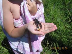 post-4298-0-69155200-1310983726_thumb.jp