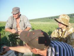 post-4485-0-67831200-1310012588_thumb.jp