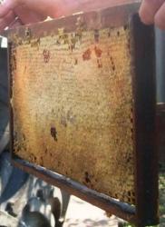 post-4553-0-11564700-1311165692_thumb.jp