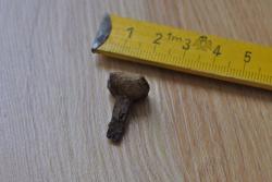 post-4629-0-84487800-1310626834_thumb.jp