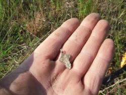 post-4921-0-08585700-1311961174_thumb.jp