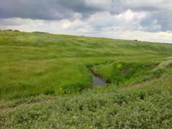 post-4989-0-37932300-1309604419_thumb.jp