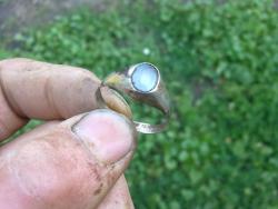 post-4989-0-91547000-1311172292_thumb.jp