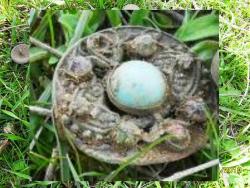 post-5029-0-40515000-1309623918_thumb.jp