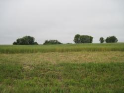 post-6245-0-80742600-1311612001_thumb.jp