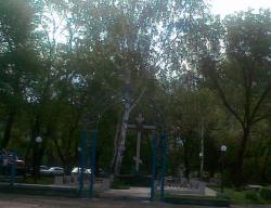 post-6685-0-35378700-1309535667_thumb.jp