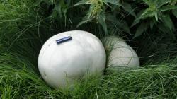 post-7006-0-47301800-1311503881_thumb.jp