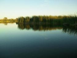 post-7223-0-25279300-1311782705_thumb.jp