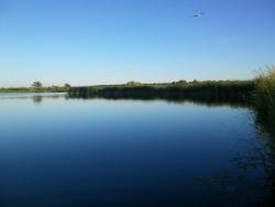 post-7223-0-36886100-1311782676_thumb.jp