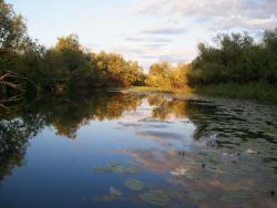 post-7223-0-95616500-1311782561_thumb.jp